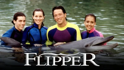 Le nuove avventure di Flipper