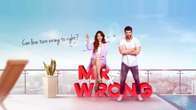 Mr. Wrong - Lezioni d'amore
