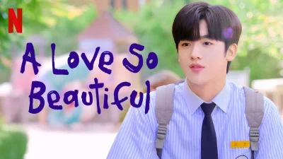 A Love So Beautiful