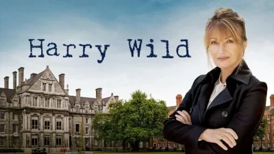 Harry Wild – La signora del delitto