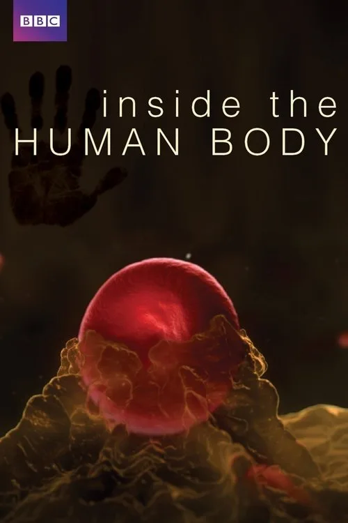 Dentro il corpo umano