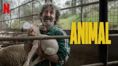 Animal
