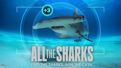 All the Sharks - In cerca di squali